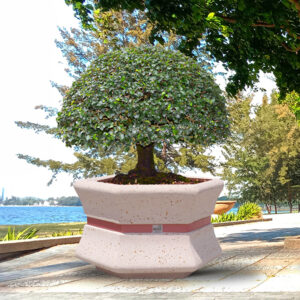 Fioriera esagonale - Ewa