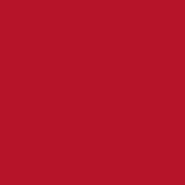 Acciaio Verniciato  Rosso Ral 3002
